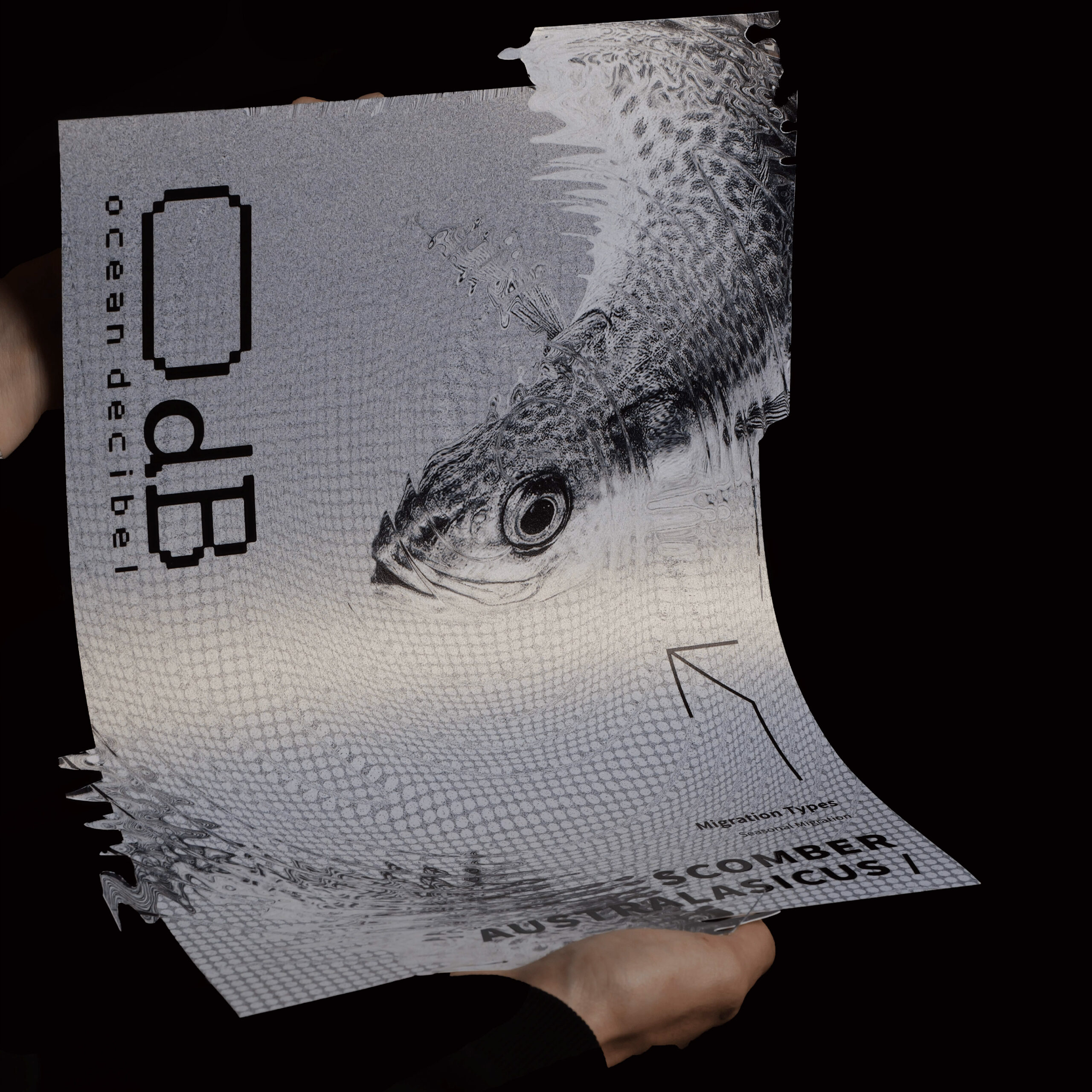 OdBWork Photo Image