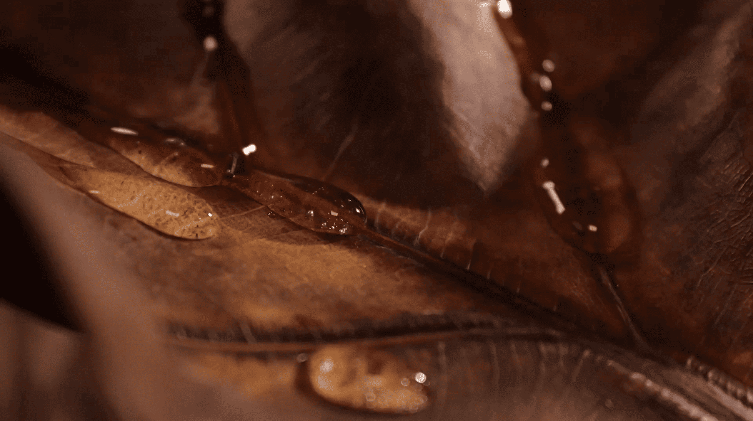 Essence Image Group 1