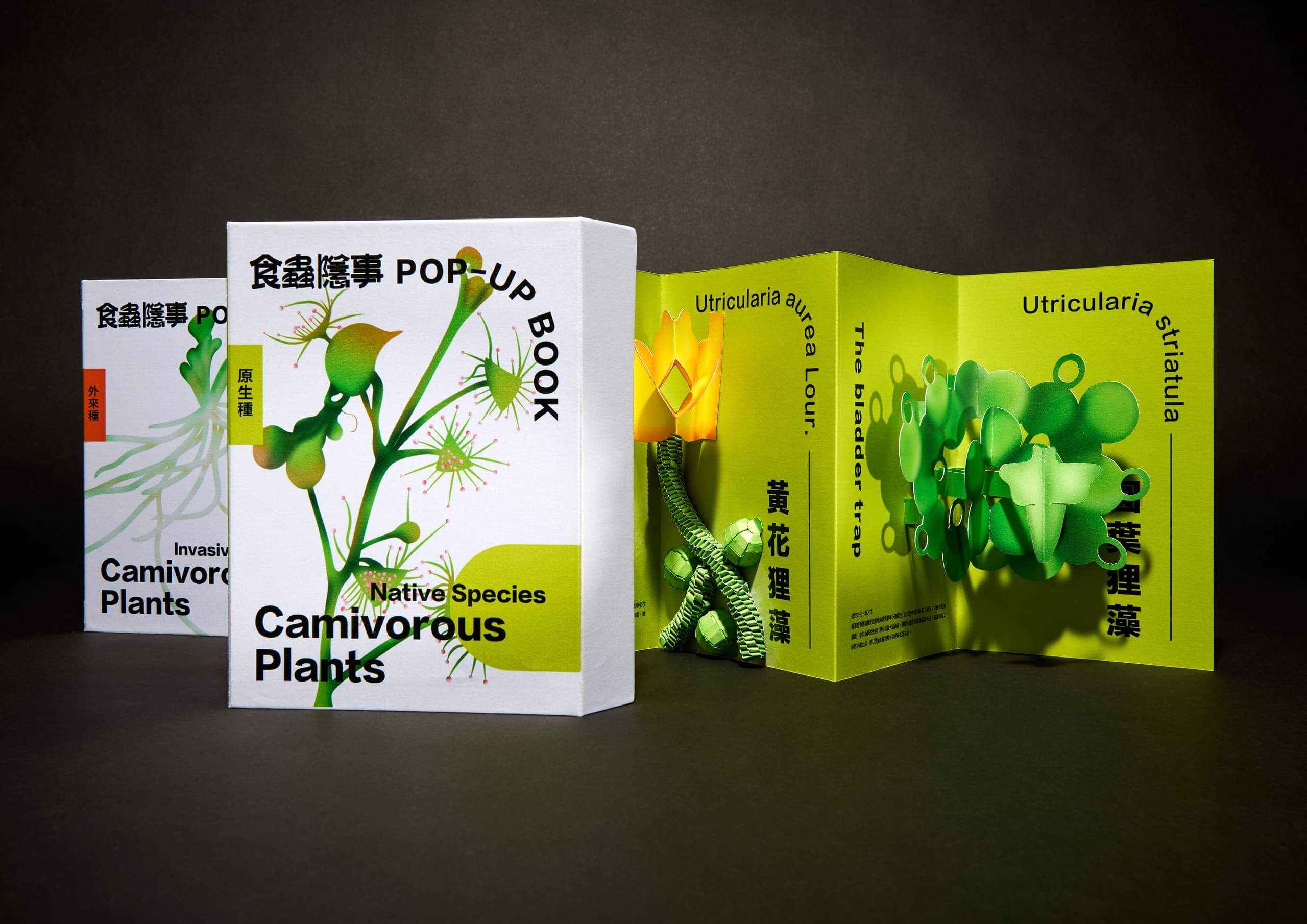 Hidden Lives of CarnivoresWork Photo