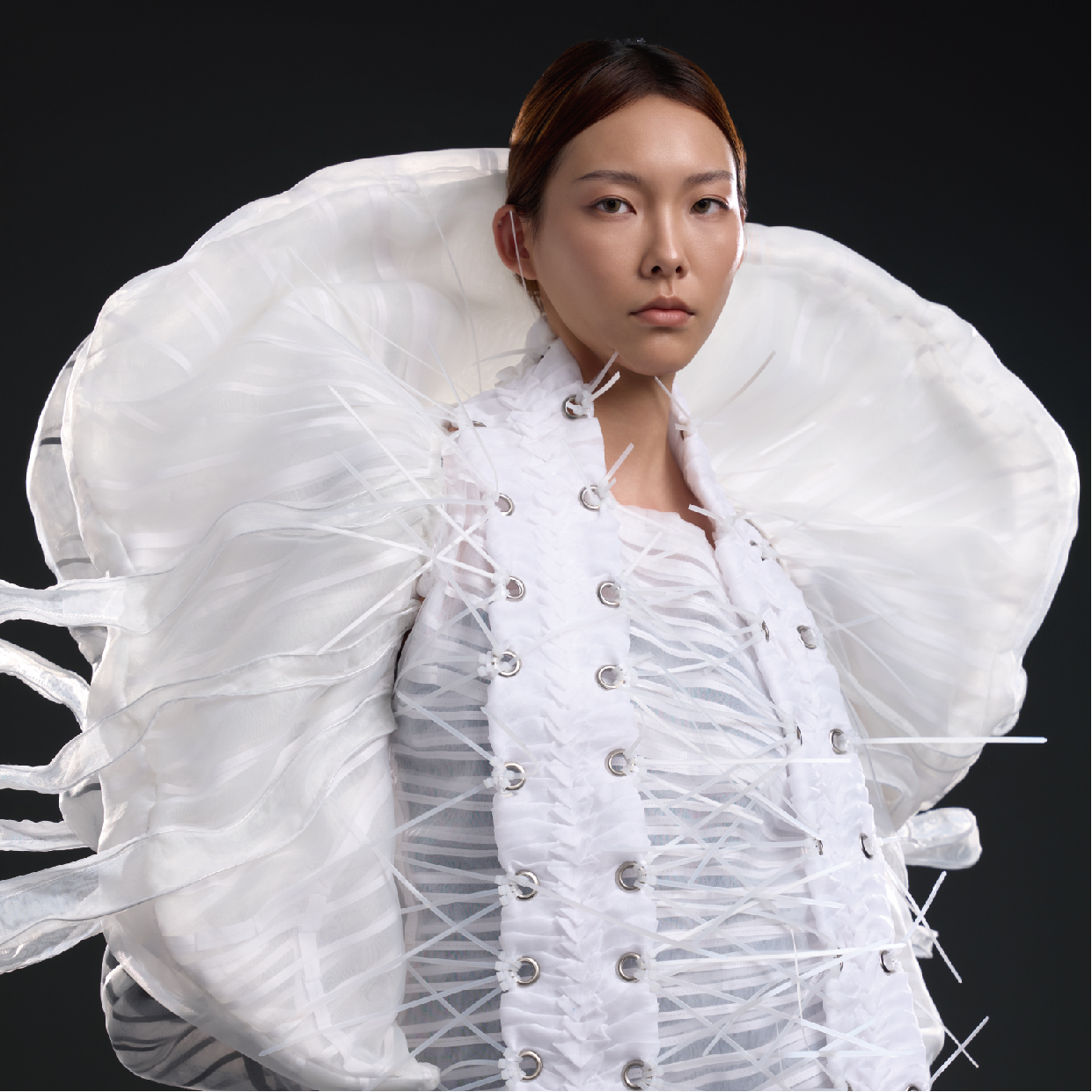 骨建築 作品照片 圖片